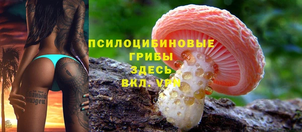 сатива Семилуки