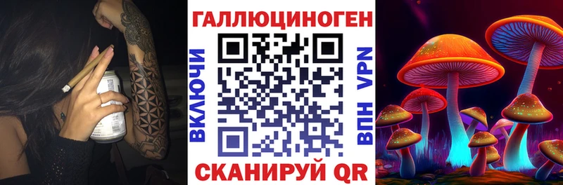 блэк спрут   цены   Вытегра  Псилоцибиновые грибы Cubensis 