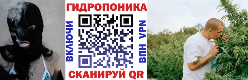 Шишки марихуана план Вытегра